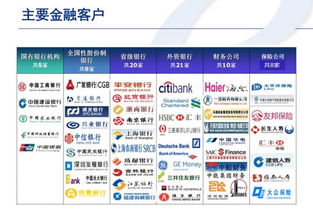 重慶軟件開發(fā)行業(yè)洞察 機(jī)遇、挑戰(zhàn)與發(fā)展趨勢